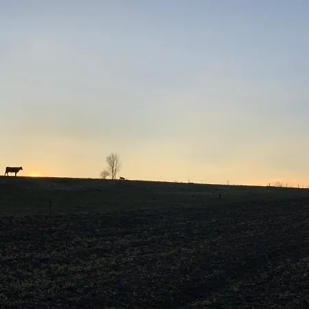 Zacisze Maciejowiec