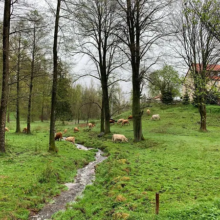 Zacisze Фермерский дом Maciejowiec