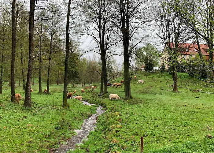 Zacisze Gospodarstwo agroturystyczne Maciejowiec